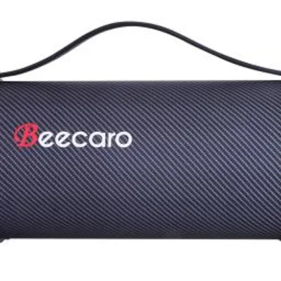 Beecaro S11F