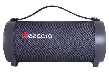 Beecaro S11F