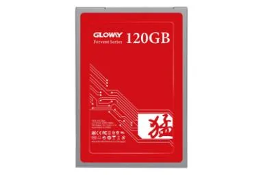 مقارنة Gloway Fierce Sata 2 5 Inch 120Gb {request()->input('language_config')['common']['with']} قرص صلب داخلي فيليبس FM24SS120B/00