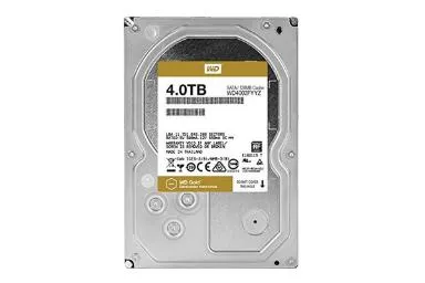 صورة Western Digital Gold Wd4002Fyyz 4Tb