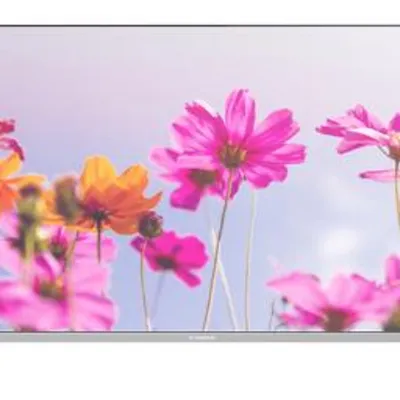 Xvision 43Xc635