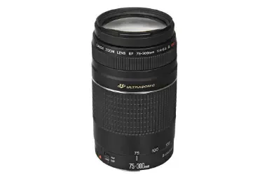 مقارنة Canon Ef 75 300Mm F40 56 Iii {request()->input('language_config')['common']['with']} عدسة Sigma 35mm F2 DG DN