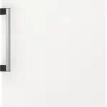 ثلاجة Gorenje R619DAW6 قائمة بيضاء قائمة بذاتها
