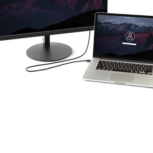 صورة كابل StarTech.com بطول 6 أقدام (2 متر) Mini DisplayPort إلى DisplayPort 1.2 - كابل محول Mini DisplayPort إلى DisplayPort بدقة 4K x 2K UHD - كابل Mini DP إلى DP للشاشة - سلك محول mDP إلى DP