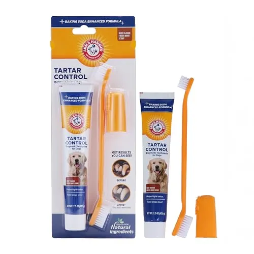 صورة Arm & Hammer مجموعة العناية بالأسنان للكلاب بالتحكم في الجير بنكهة اللحم البقري