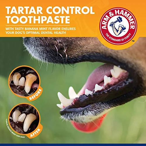 Thumbnail 4 of طقم العناية بأسنان الكلاب من Arm & Hammer بنكهة النعناع والموز 2.5 أوقية