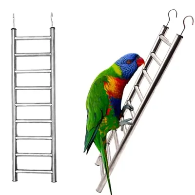 سلالم طيور ستانلس ستيل LWINGFLYER عبوة من 2