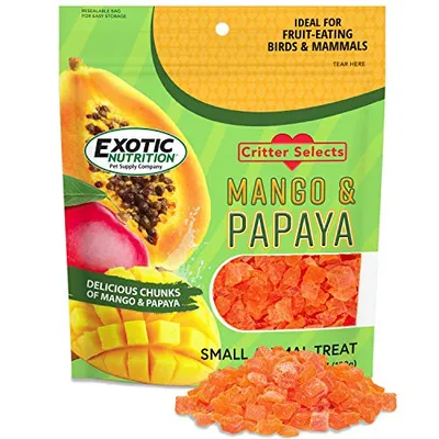 Exotic Nutrition مكافأة المانجو والبابايا 4.5 أوقية