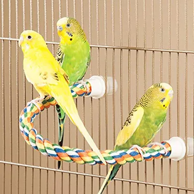 Thumbnail 4 of JW Comfy Perch حبل طيور متوسط متعدد الألوان