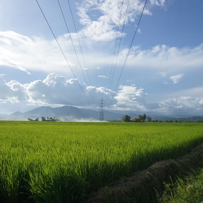 Maramag