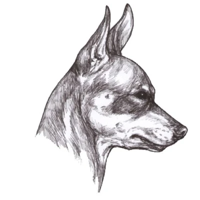 نژاد PRAGUE RATTER