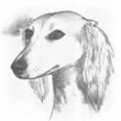 سلالة الكازاخ تازي (KAZAKH TAZY)